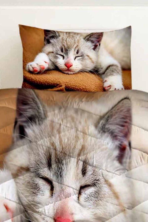 Sevimli Uyuyan Kedi Desenli Çift Kişilik Kapitoneli Yorgan Yastık Kılıflı