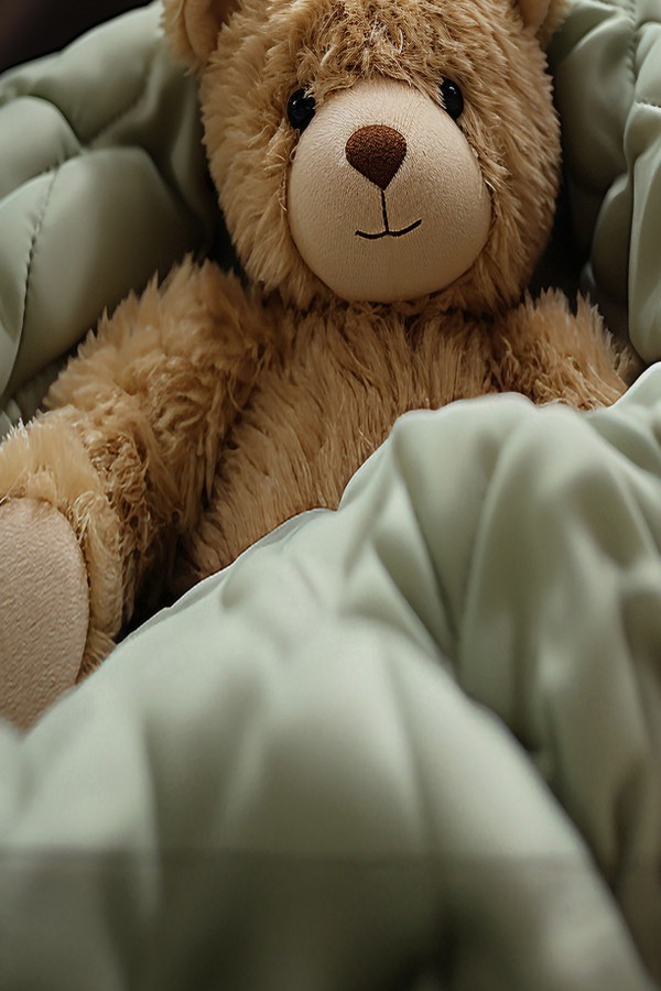 Oyuncak Ayı Teddy Desenli Kız Çocuk Dekoratif Baskılı Yatak Örtüsü Oyuncak Ayı Teddy Desenli Kız Çocuk Dekoratif Baskılı Yatak Örtüsü