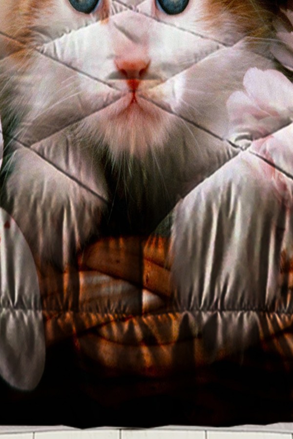 Şapkalı Kedi Desenli Tek Kişilik Kapitoneli Yorgan Yastık Kılıflı Şapkalı Kedi Desenli Tek Kişilik Kapitoneli Yorgan Yastık Kılıflı