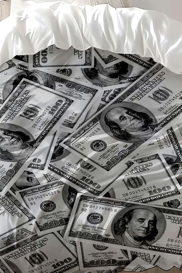 Para Dolar Desenli Baskılı Pamuk Saten Çift Kişilik Nevresim Takımı