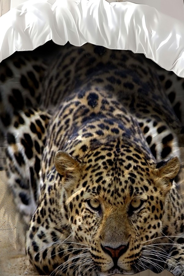 Leopar Desenli Baskılı Pamuk Saten Çift Kişilik Nevresim Takımı Leopar Desenli Baskılı Pamuk Saten Çift Kişilik Nevresim Takımı